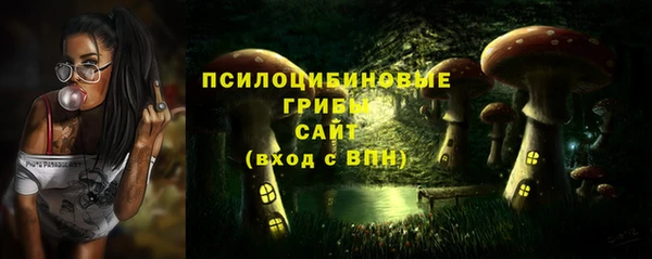 гидропоника Белокуриха