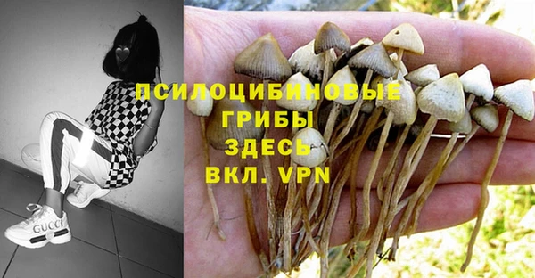 экстази Рославль
