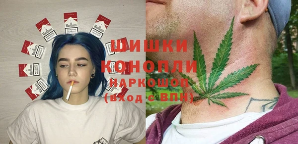 ГАЛЛЮЦИНОГЕННЫЕ ГРИБЫ Сатка