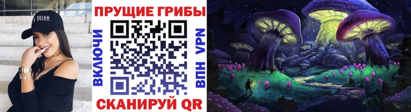 OMG онион Тотьма Псилоцибиновые грибы ЛСД наркота